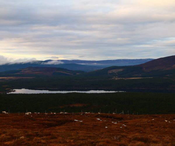 Cairngorms National Park